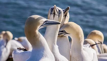 爱游戏体育客户端-大连英博客场表现稳健，积分稳步攀升，大连英新科技有限公司