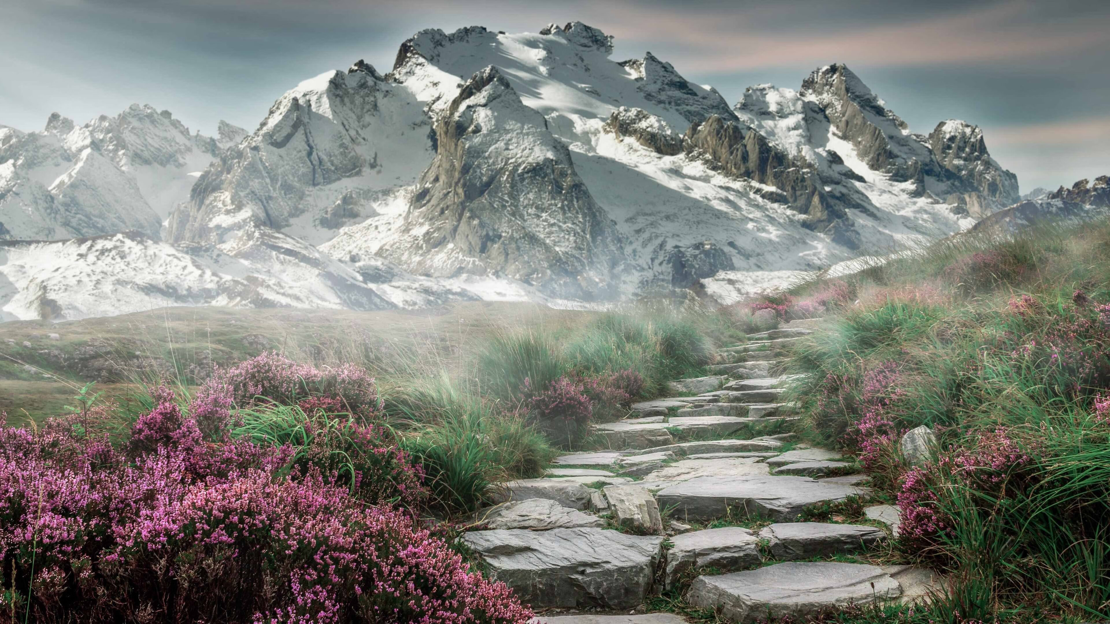 -广场舞促进社区凝聚力，社区居民广场舞活动方案