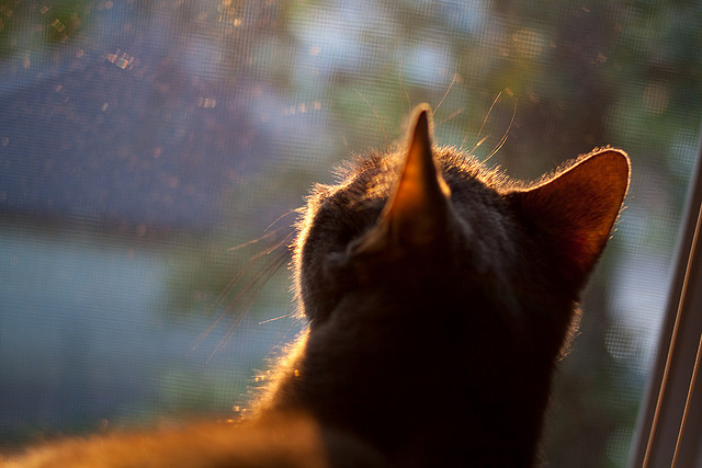 爱游戏电竞官网-德甲精彩场次，数据背后隐藏的战术思路与应变能力，德甲赛制介绍