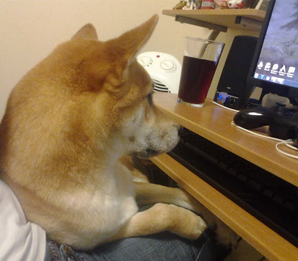 爱游戏 电竞-逆转恐惧夜：那些震撼整个欧洲的战斗瞬间，美国恐怖片逆转