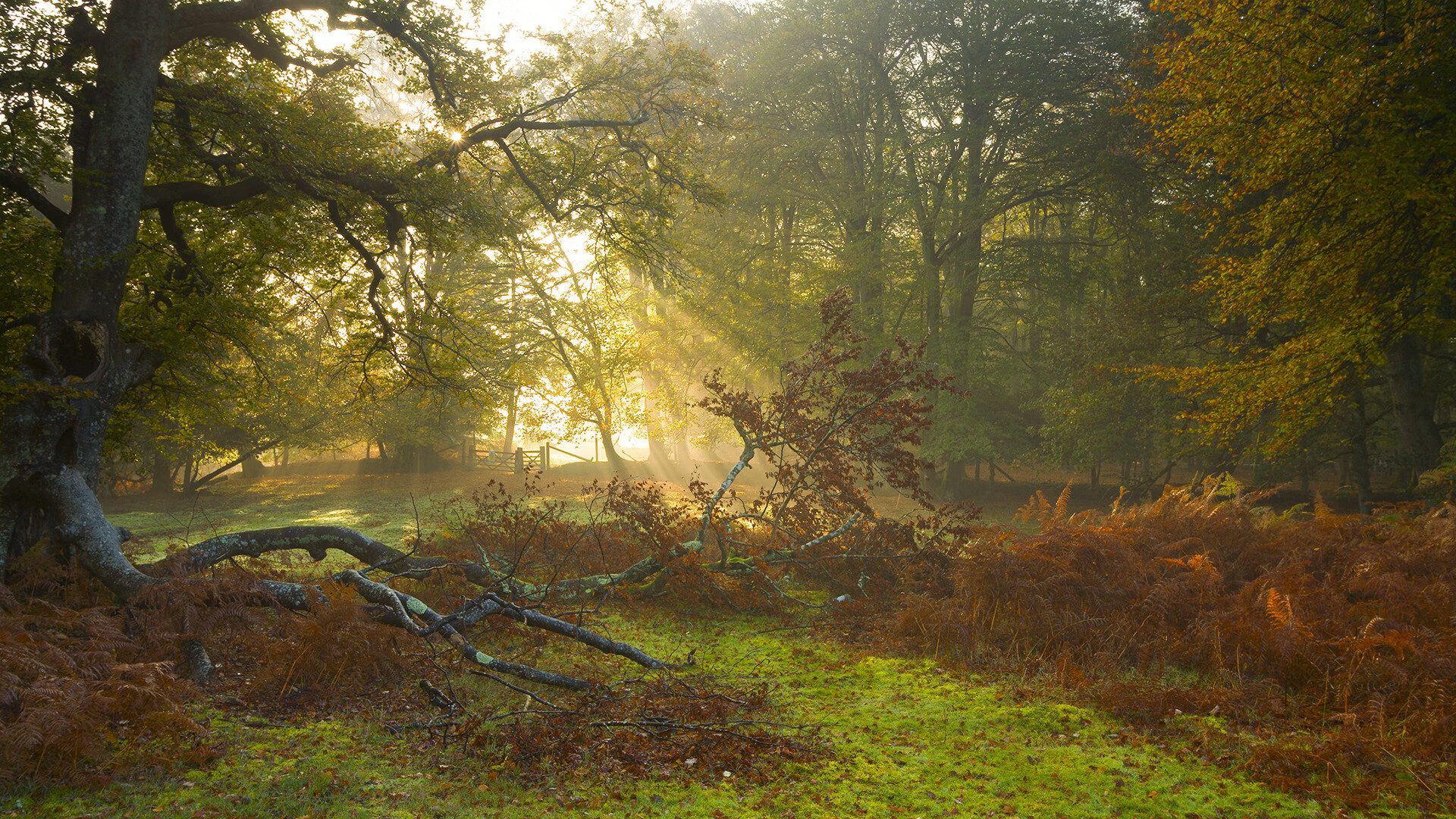 AYX体育-青训基地全面升级：打造未来篮球之星的沃土，青年篮球训练基地要多少钱
