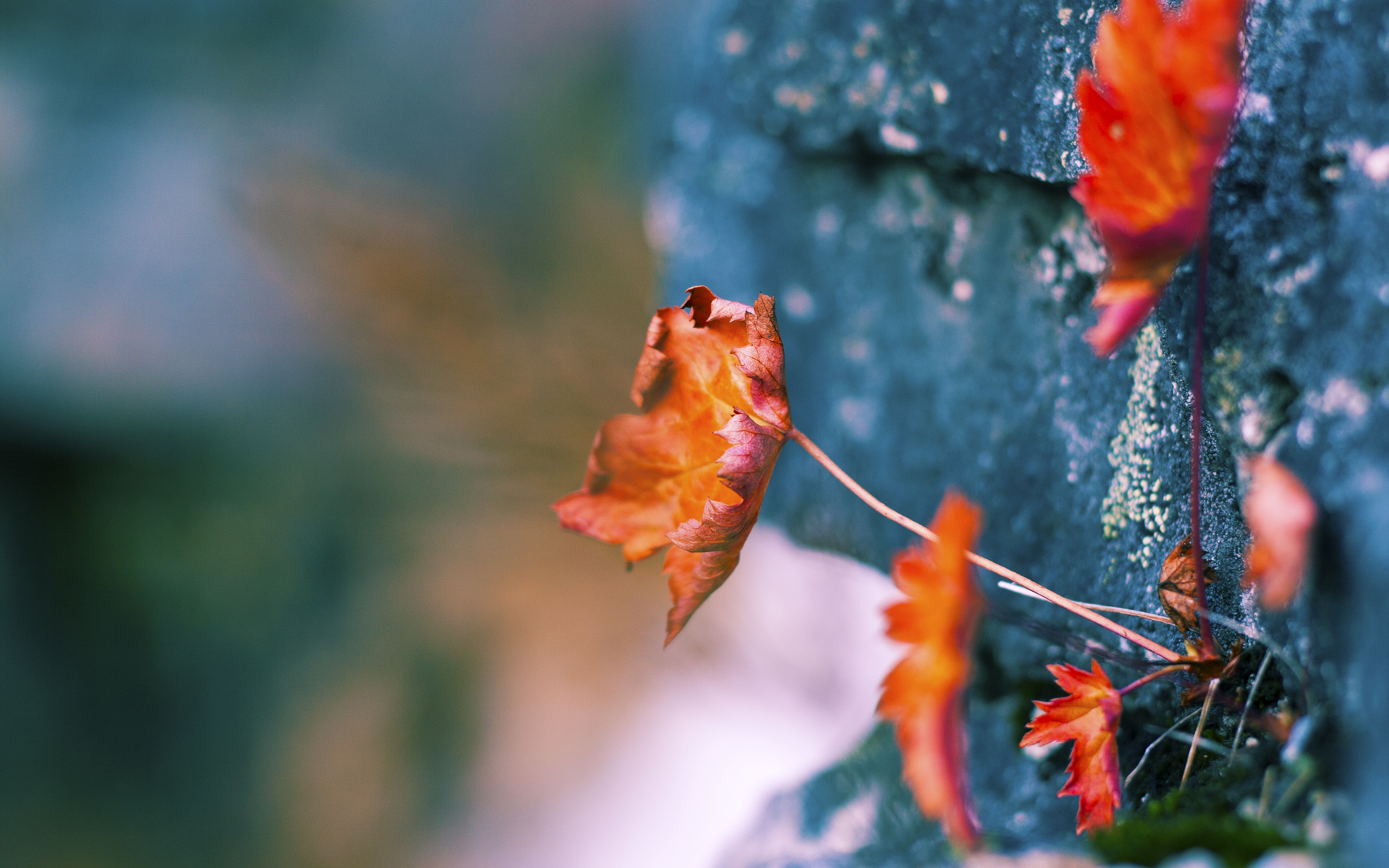 爱游戏体育（AYX）官方APP下载-中国足球是否应重点布局女足板块，中国女足未来发展