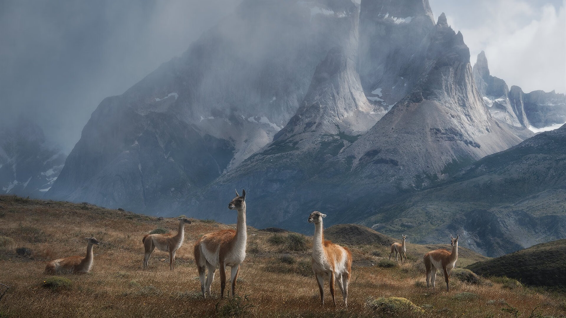 爱游戏电竞官网-横滨水手球员荣获月度最佳，横滨水手主力有哪些球员