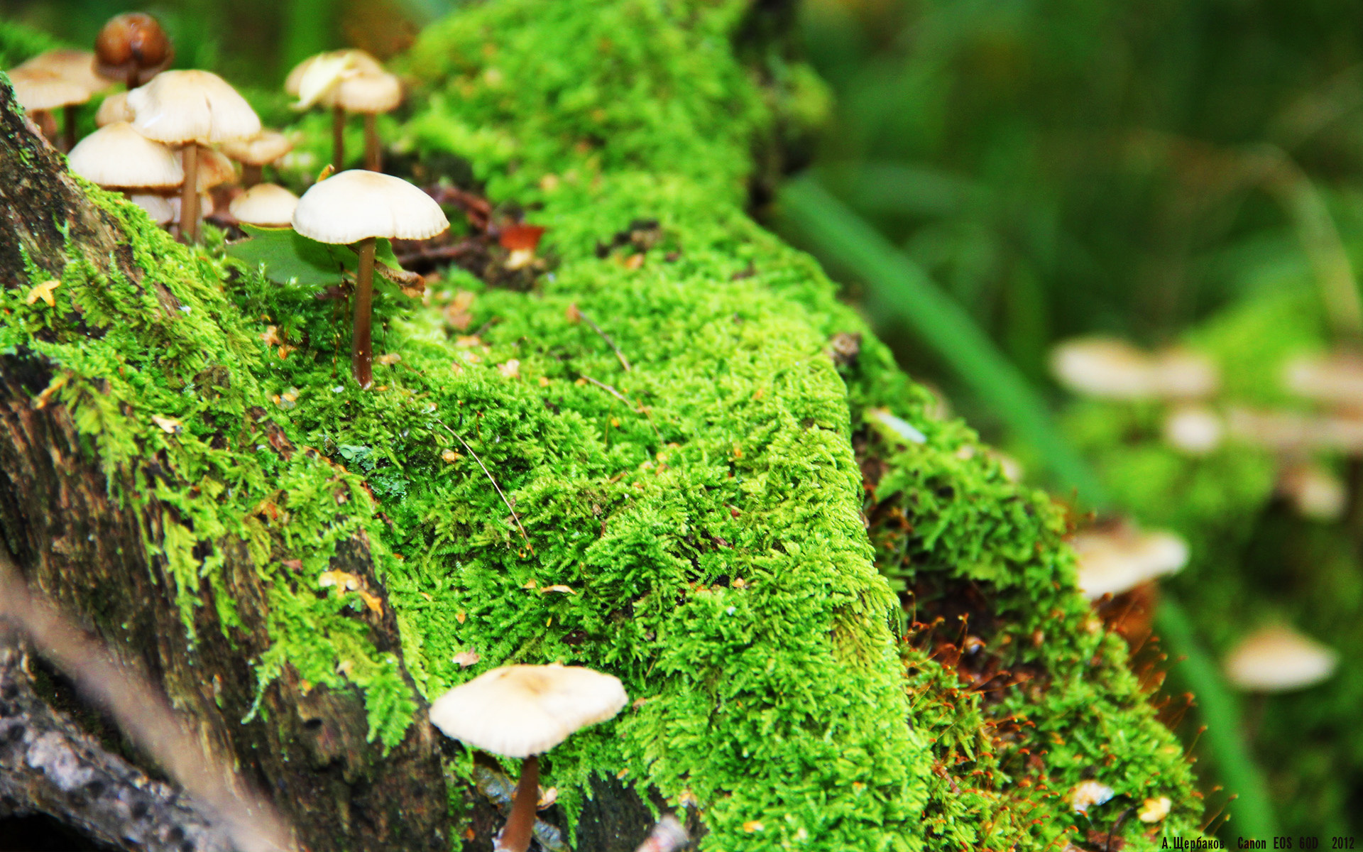 爱游戏娱乐网址-波兰队意外出局：瑞典队胜利晋级四强，瑞典波兰在哪比赛