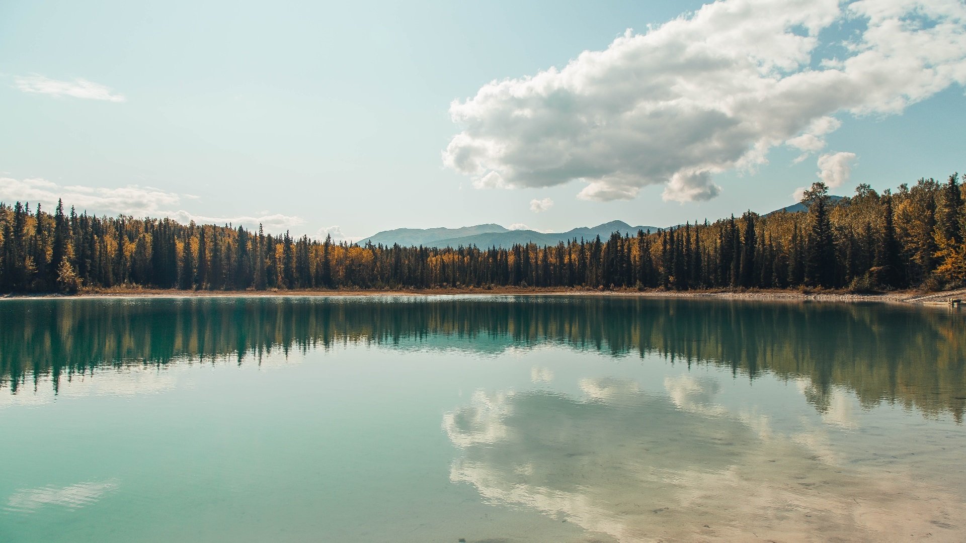 AYX官网-沃尔什展现蝶泳极限速度，蝶泳最好成绩